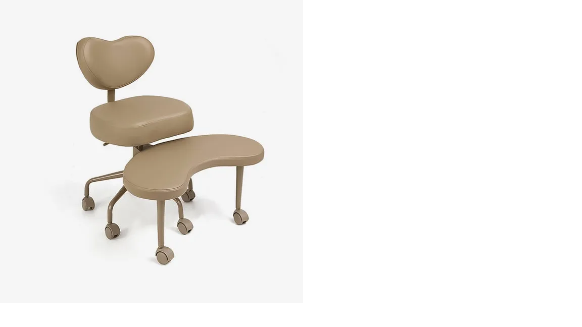 Premium Ergonomic Office Chair